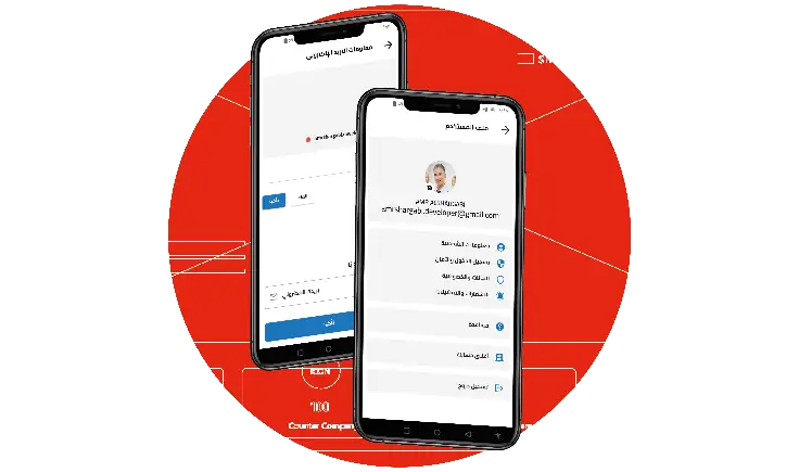 AQSS ONLINE screenshot illustrating the The Process & Implemented Solutions phase by Ibex