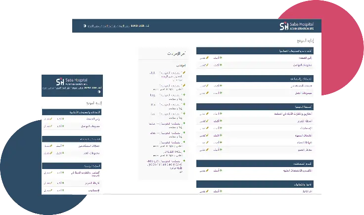 SABA HOSPITAL screenshot illustrating the The Process & Implemented Solutions phase by Ibex