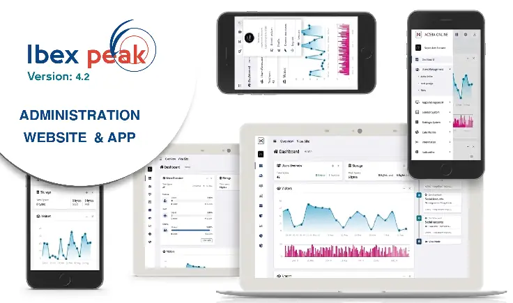 Take Care for import screenshot illustrating the The Process & Implemented Solutions phase by Ibex