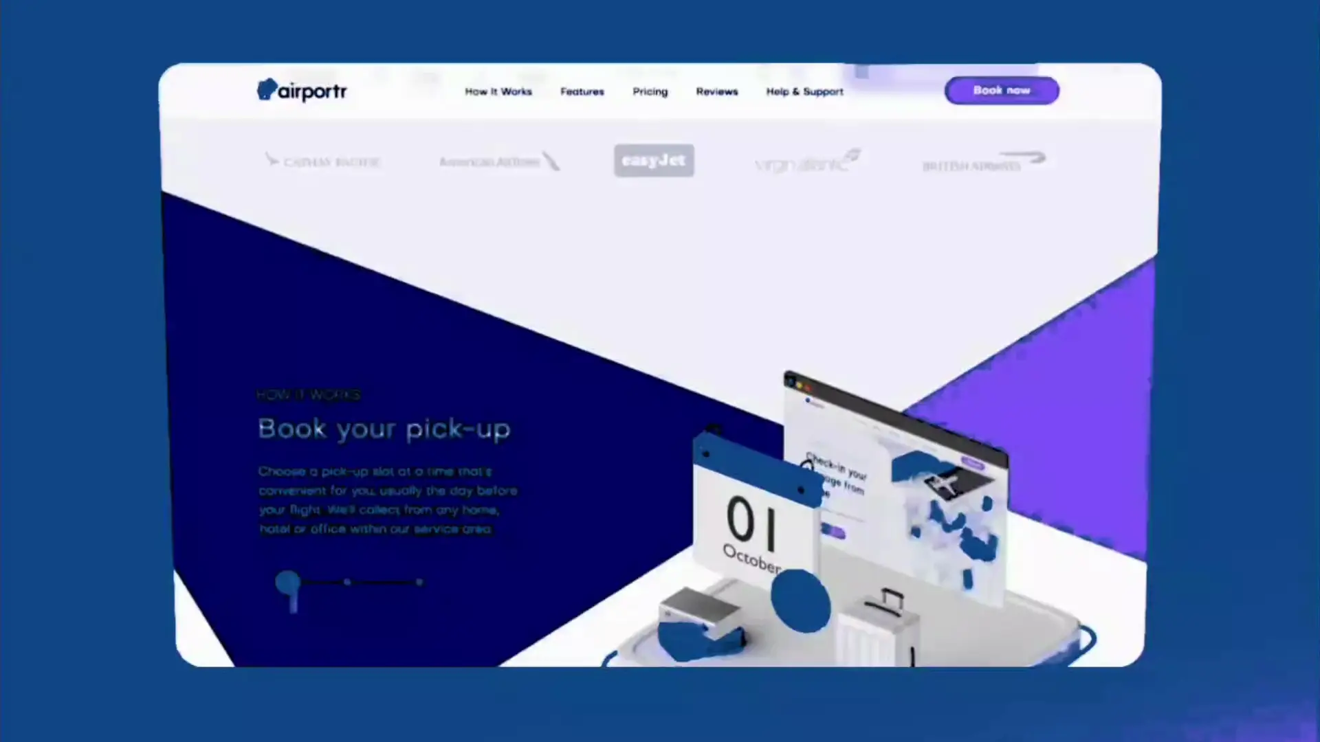 Web App Solutions | Ibex